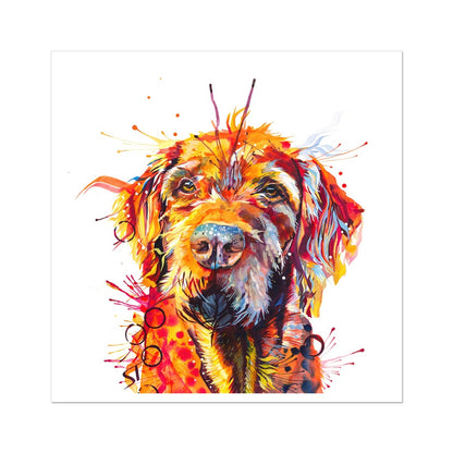 Hamish the Wirehaired Vizsla Fine Art Print