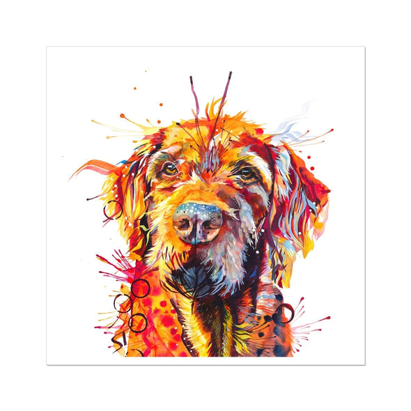 Hamish the Wirehaired Vizsla Fine Art Print Sarah Taylor Art