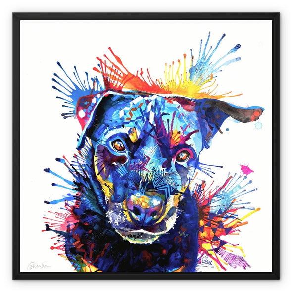 Bowdee the Rottweiler Framed Canvas Sarah Taylor Art
