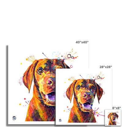 Freo the Vizsla Fine Art Print