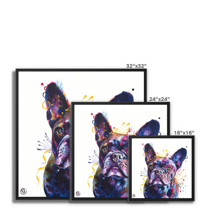 Poppy the Frenchie (French Bulldog) Framed Canvas