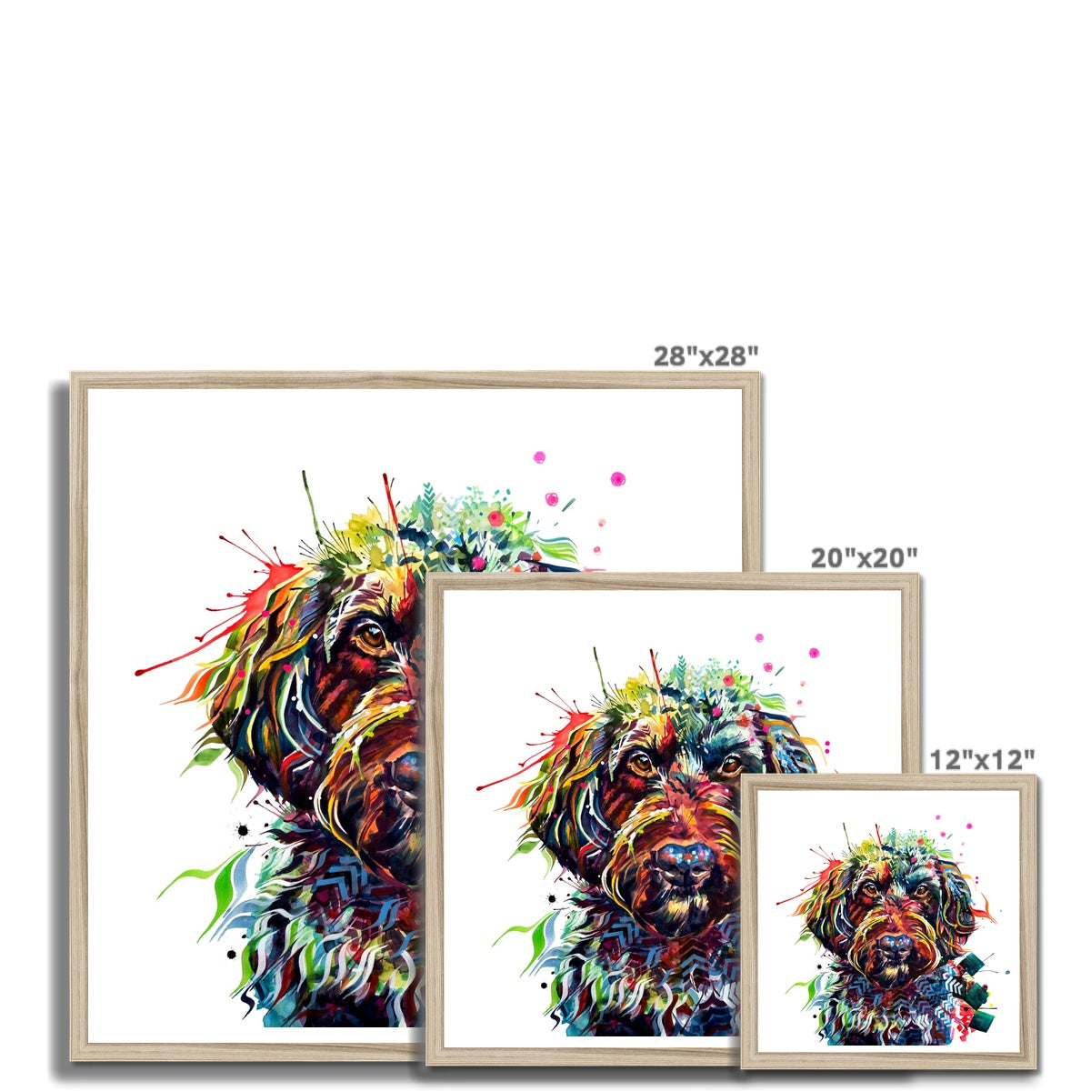 Ben the Labradoodle Framed Print