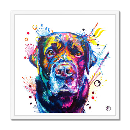 Beckett the Black Lab Framed Print