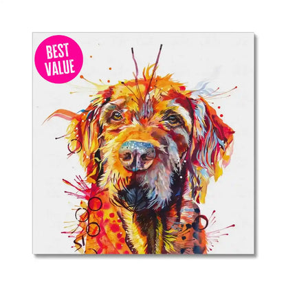 Hamish the Wirehaired Vizsla Canvas