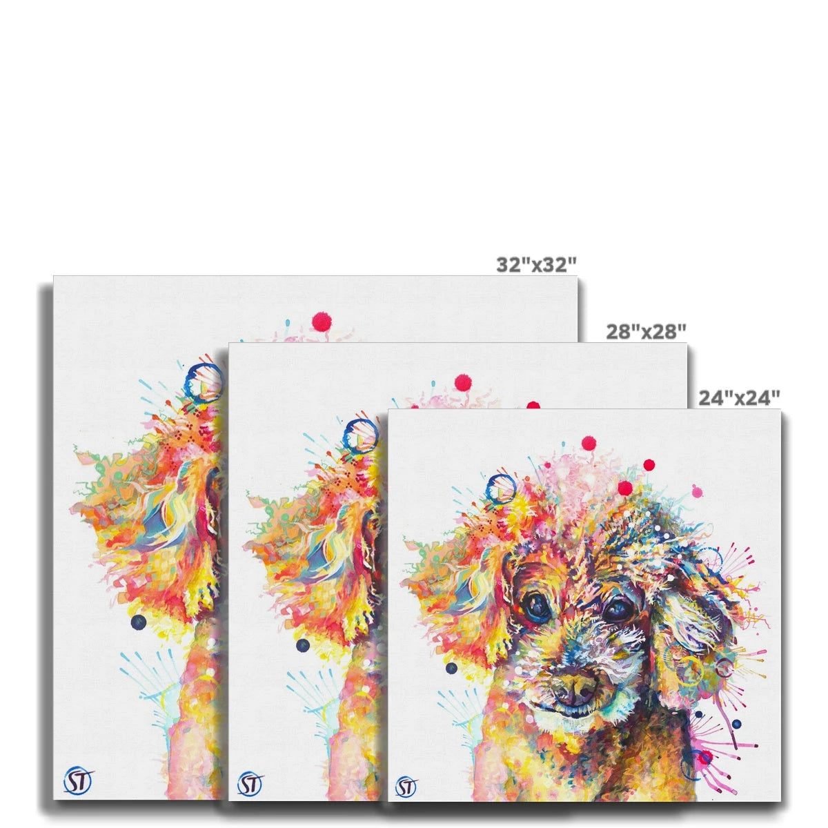 Colourful Toy Poodle canvas with a topknot of apricot, pink and gold curls and red paint dots by Sarah Taylor Art