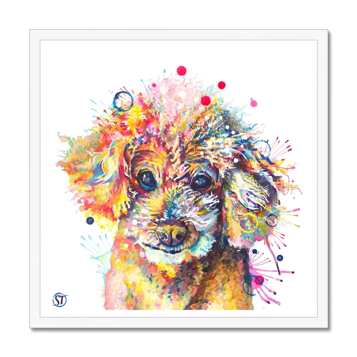 Colourful Toy Poodle framed print with fluffy apricot curls, dark shining eyes and bright paint splashes by Sarah Taylor Art