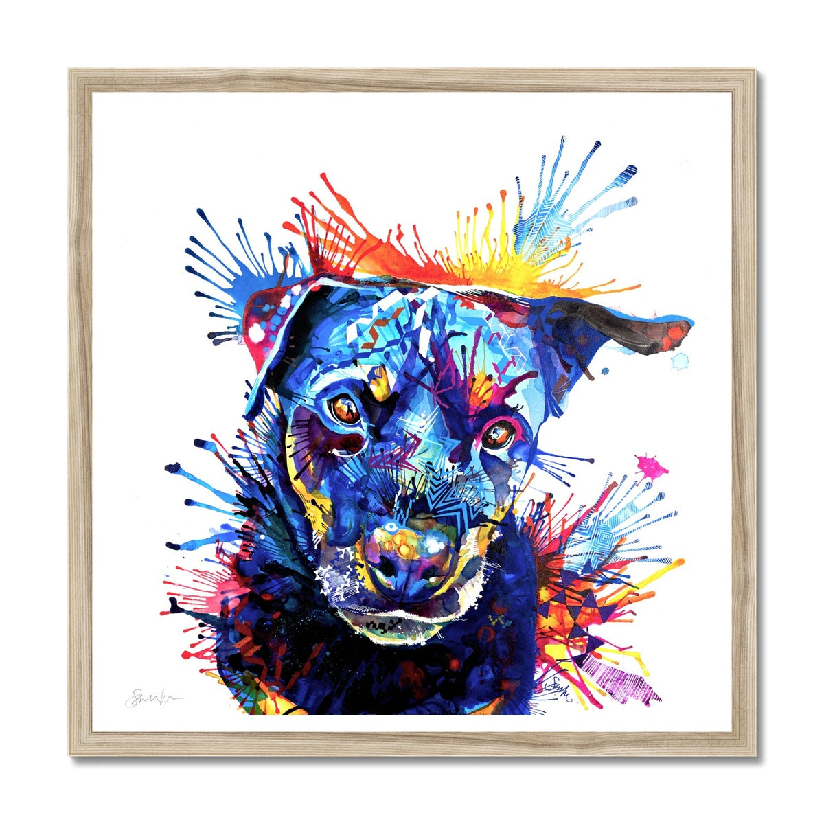 Rottweiler Framed Print-Fine art-Sarah Taylor Art