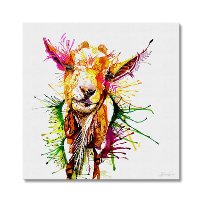 Wall Art | Framed Art | Animal Picture | Animal Art | Colourful Animal Art | Sarah Taylor | Abstract Art