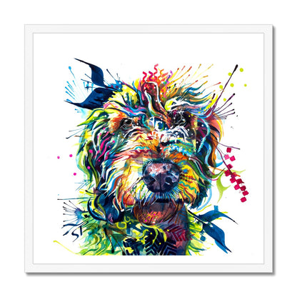Murphy the Labradoodle Framed Print