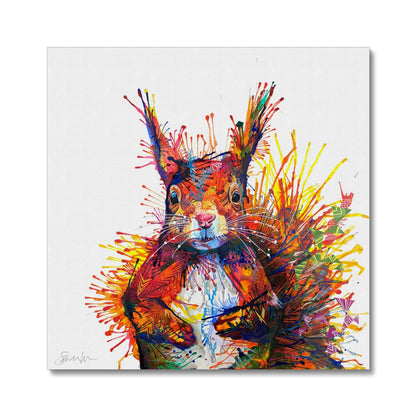 Cyril the Squirrel Canvas-Fine art-Sarah Taylor Art