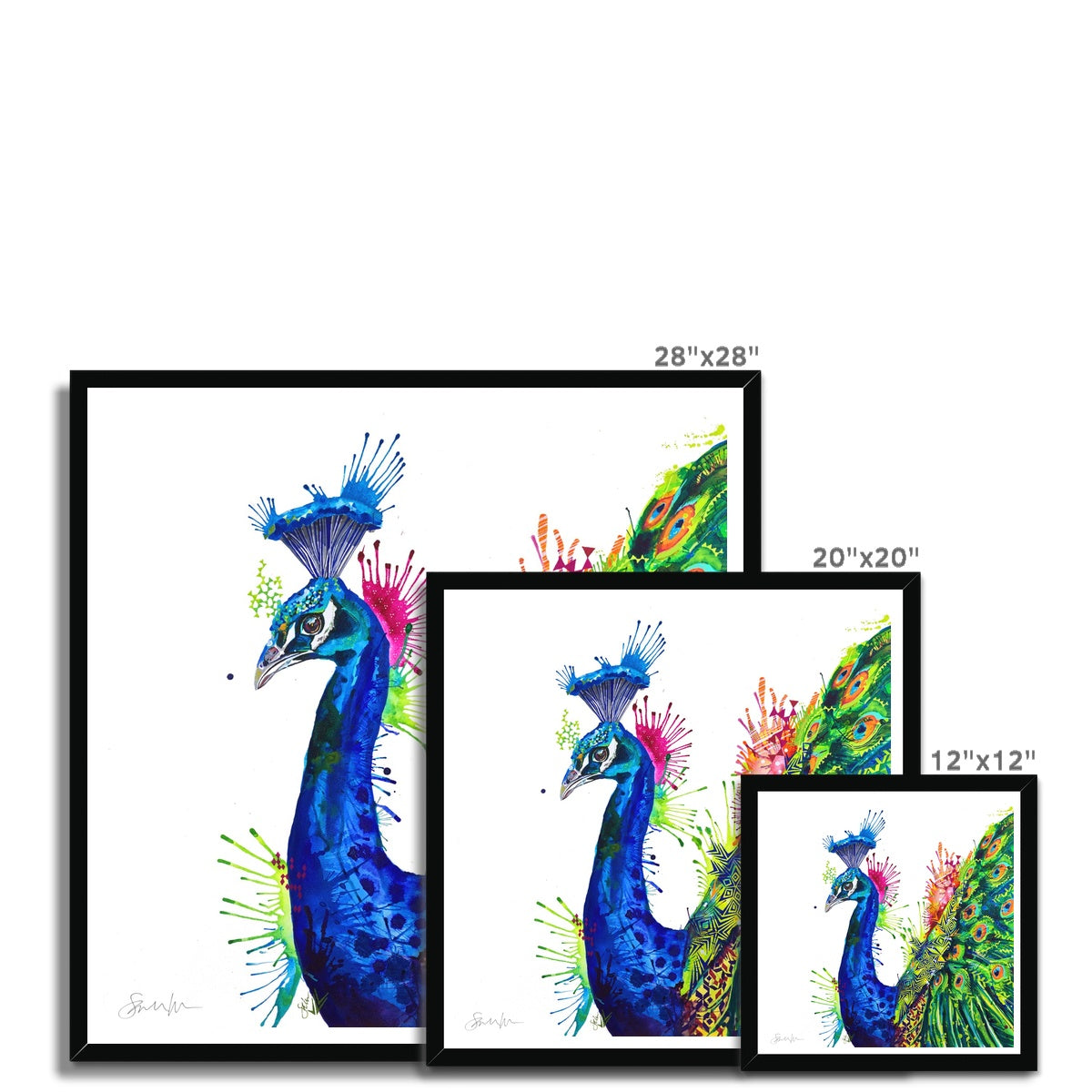 Percival Peacock Framed Print-Fine art-Sarah Taylor Art
