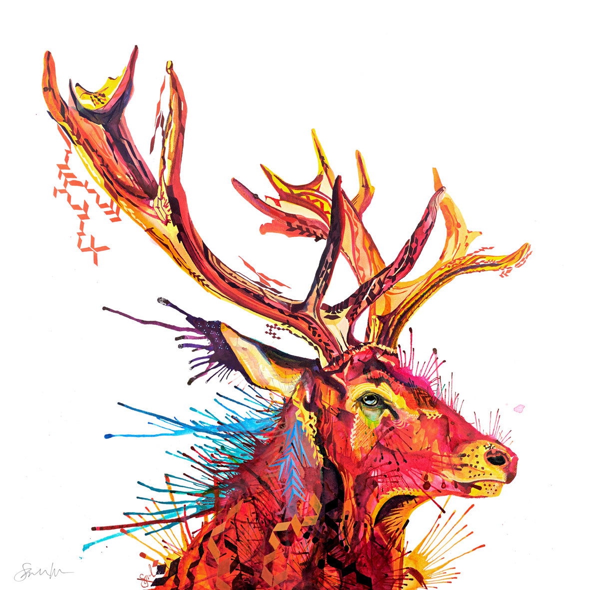 Benedict the Stag Framed Canvas