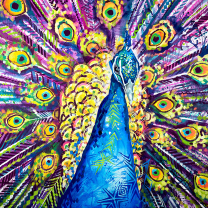 Dylan the Peacock Canvas