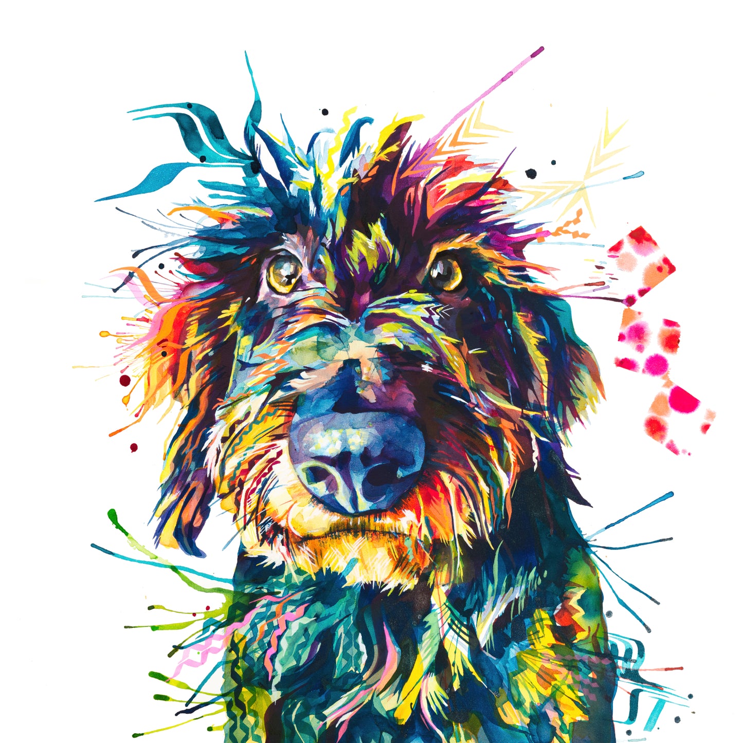 Colourful painting of wire haired dachshund