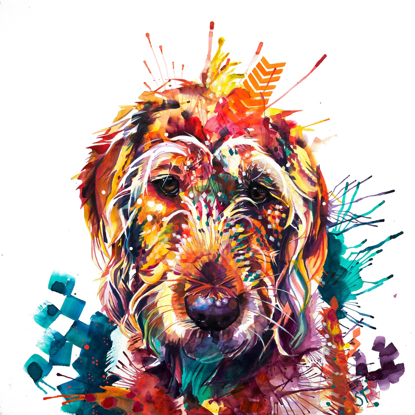 Buddy the Labradoodle  Canvas