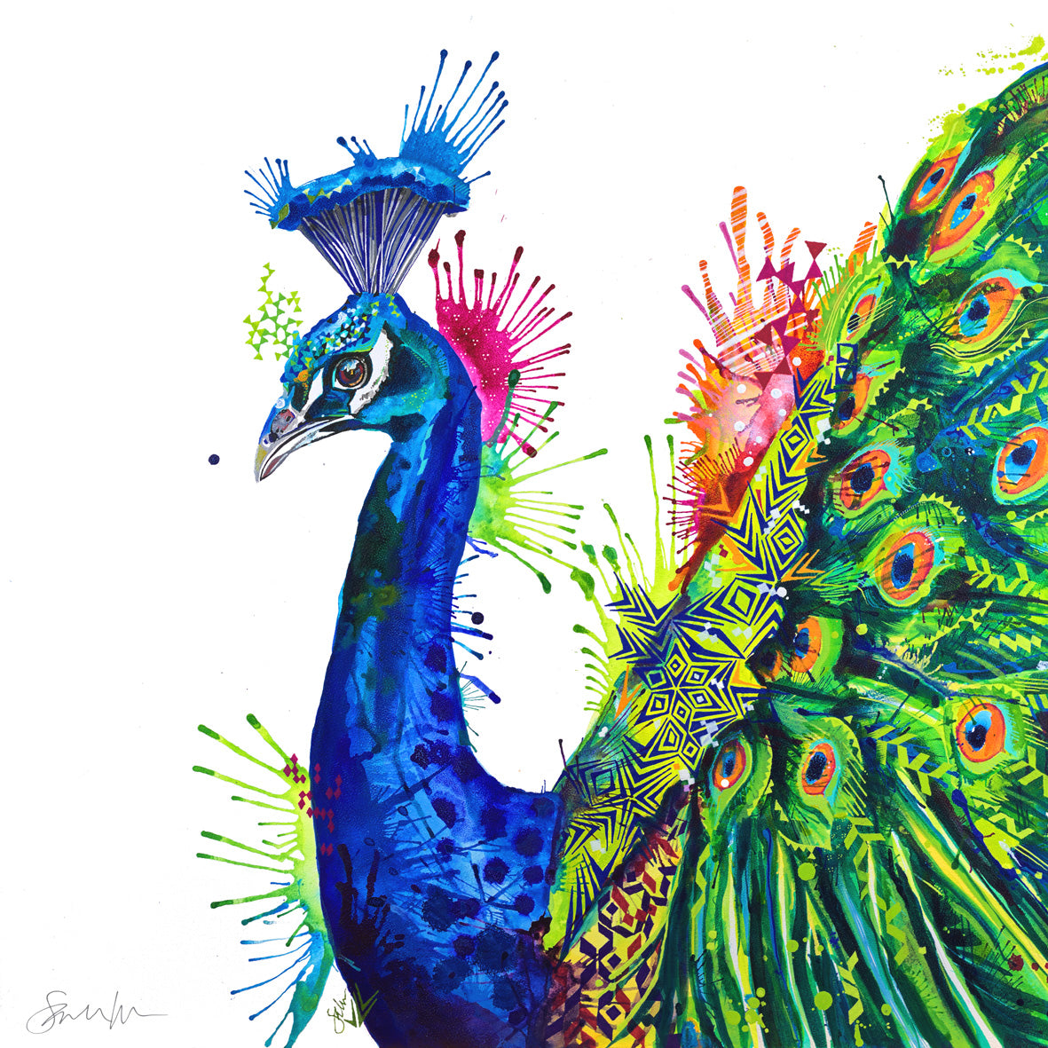 Percival Peacock Canvas