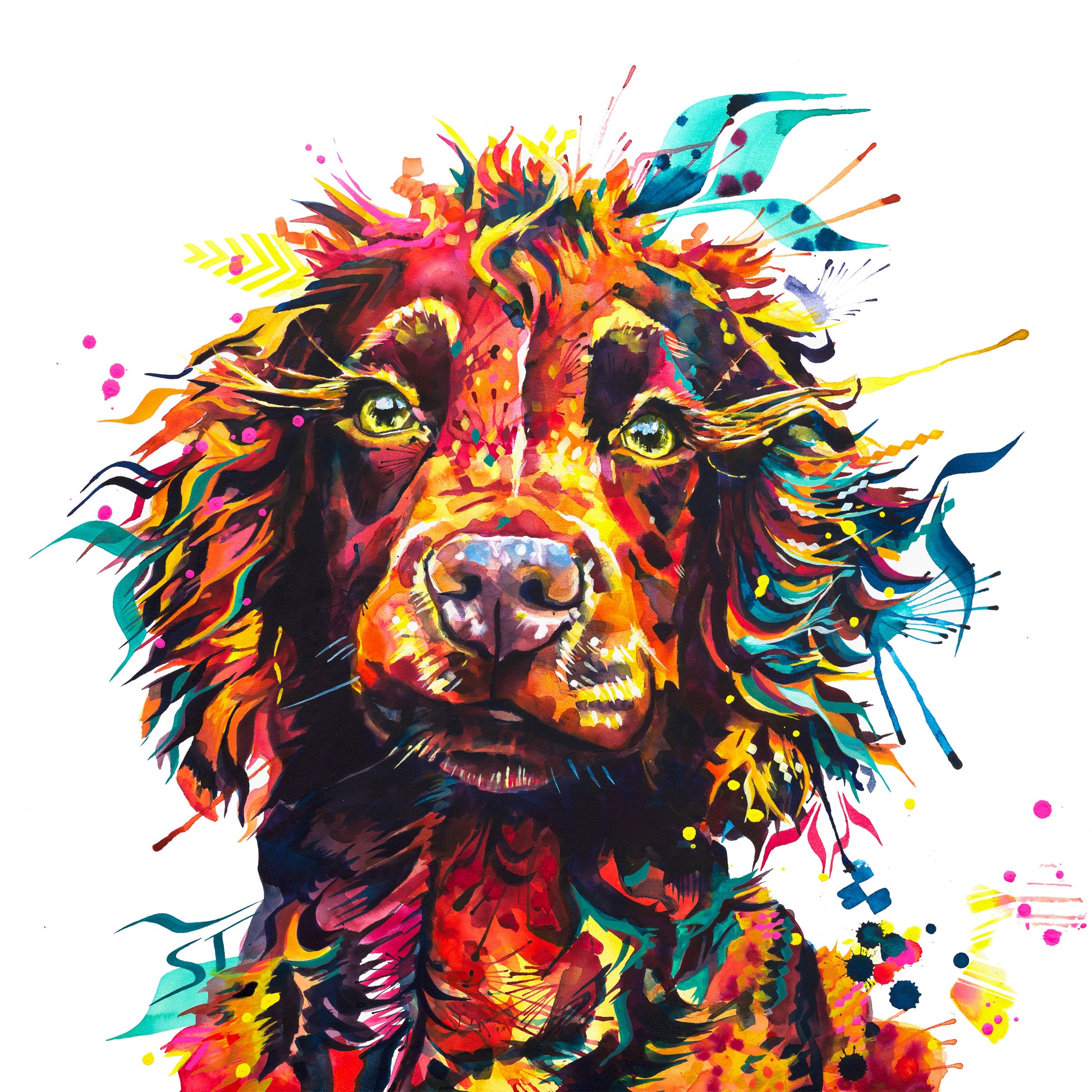 Teddy the Cocker Spaniel Framed Canvas - Main Image