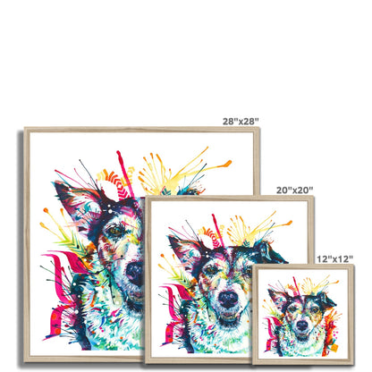Jack Russell Pippin Framed Print