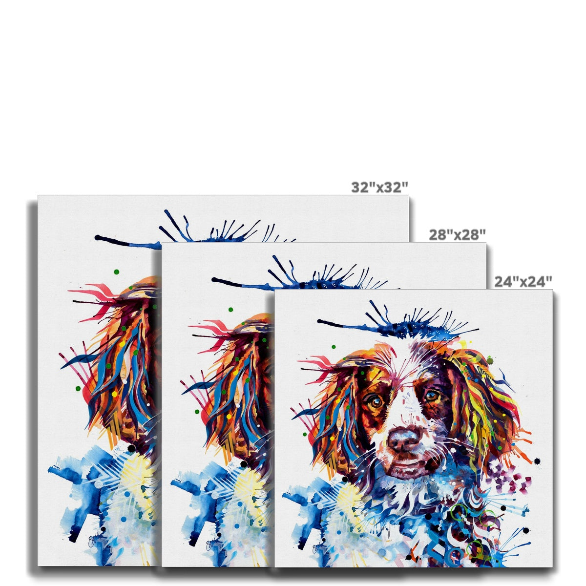 Buster the Springer  Canvas