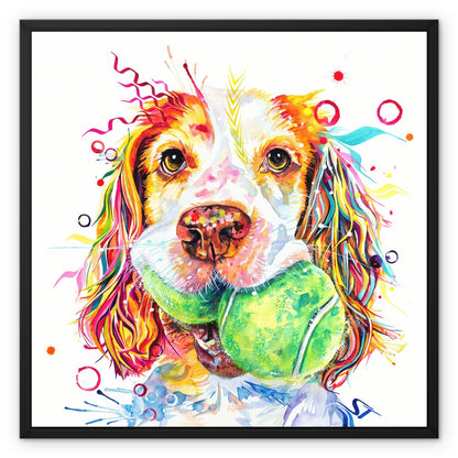 The Ball Girl! Sprocker Spaniel Framed Canvas – Sarah Taylor Art