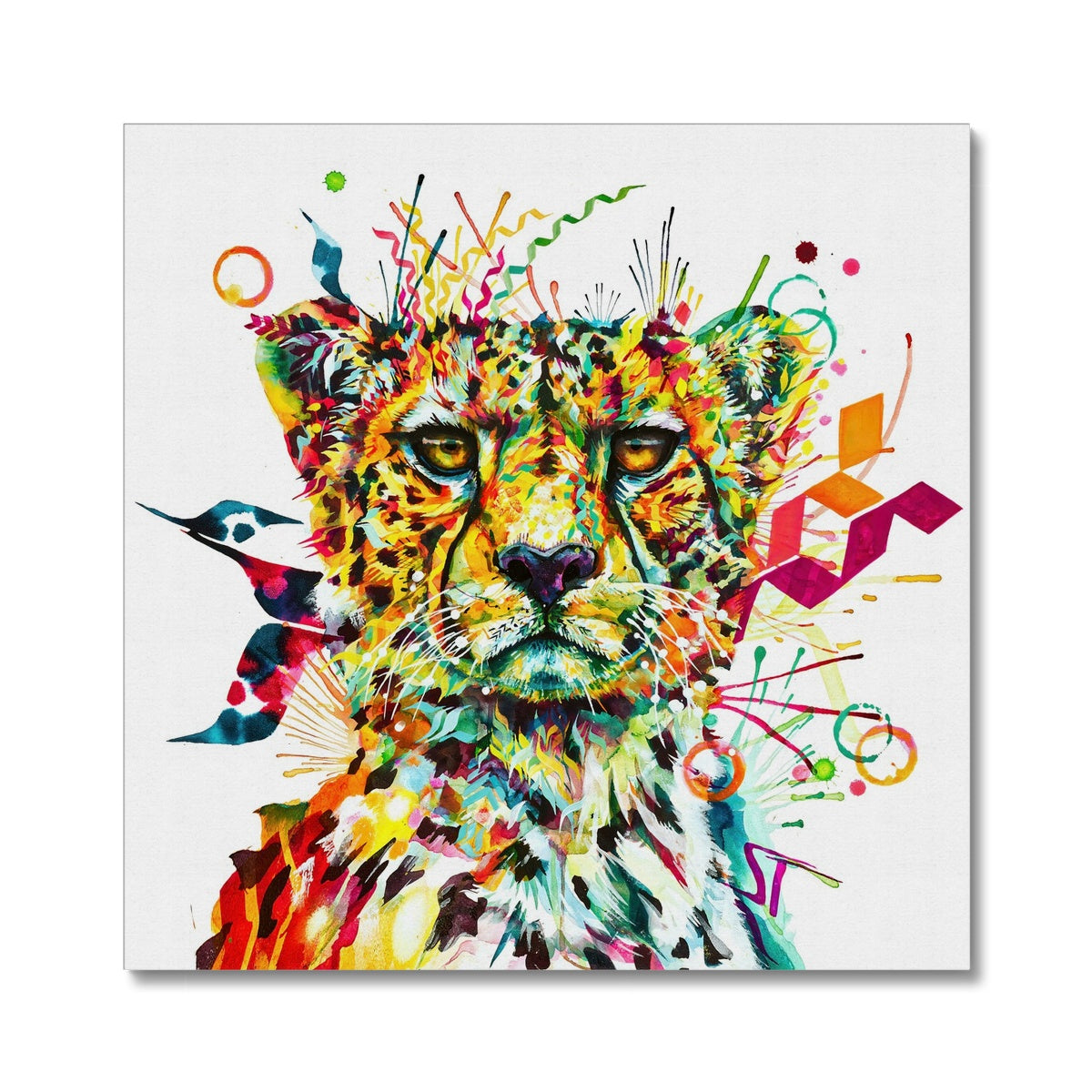 Zola the Cheetah Canvas