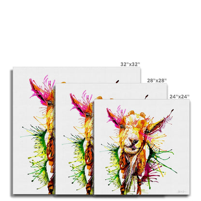 Wall Art | Framed Art | Animal Picture | Animal Art | Colourful Animal Art | Sarah Taylor | Abstract Art