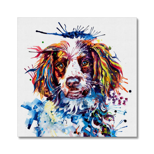 Buster the Springer  Canvas