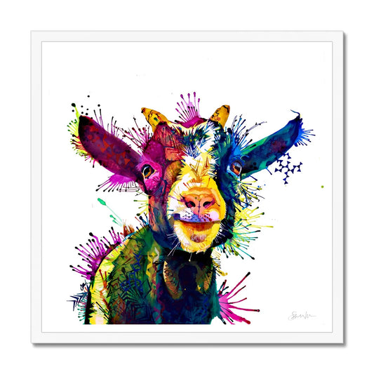 Rescue - Zeus king of goats   20" framed print
